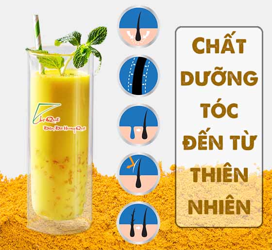 phục hồi mái tóc sơ rối bằng tinh bột nghệ